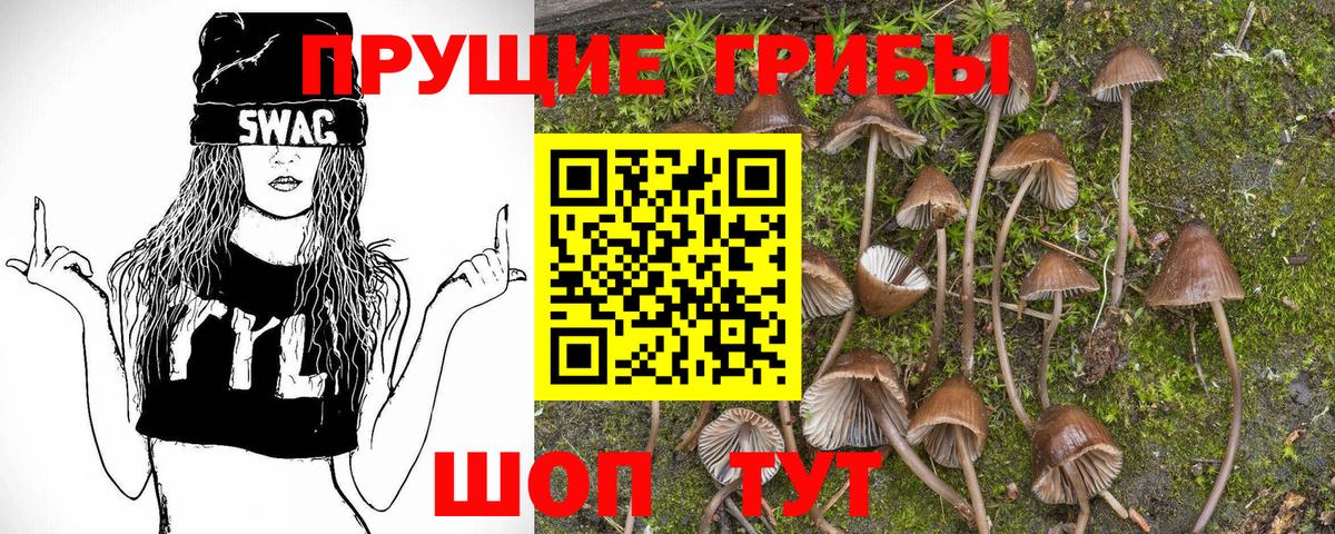 Кимры  Псилоцибиновые грибы прущие грибы  Вход с VPN 